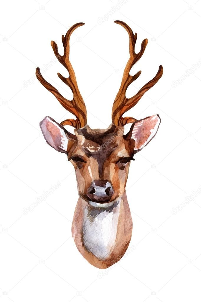 Dasher