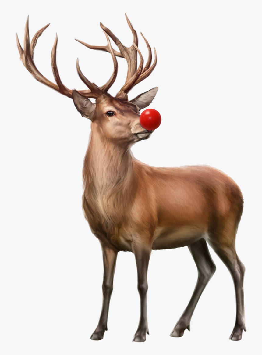 Rudolph